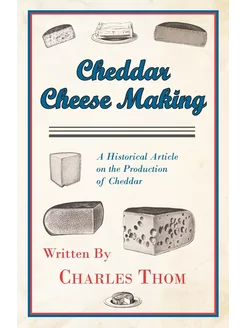 Cheddar Cheese Making - A Historical Article on the