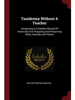 Taxidermy Without A Teacher. Comprisi