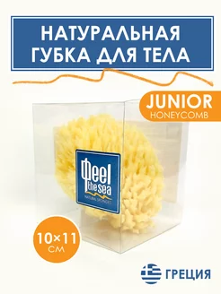 Натуральная морская губка для тела Junior HoneyComb