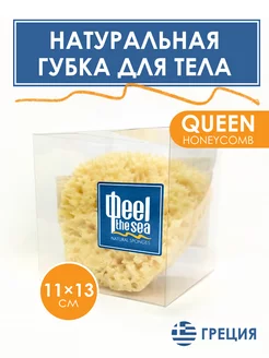 Натуральная морская губка для тела Queen HoneyComb