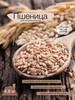 Микрозелень Пшеница живая для проращивания, 4,8 кг бренд ALL Be Bag продавец Продавец № 3935270