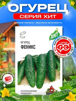 Семена огурцов для открытого грунта и теплиц