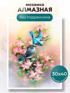 Алмазная мозаика 30х40 см без подрамника