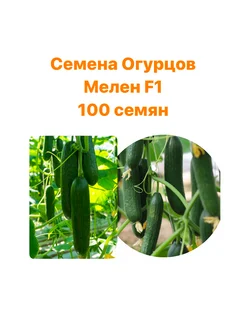 Семена Огурец гладкий Мелен F1, 100 шт