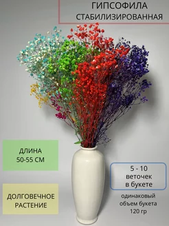 Сухоцвет для декора гипсофила стабилизированная