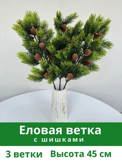 еловая ветка с шишками