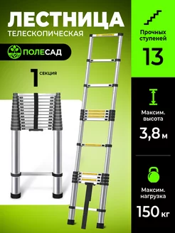 Лестница телескопическая строительная