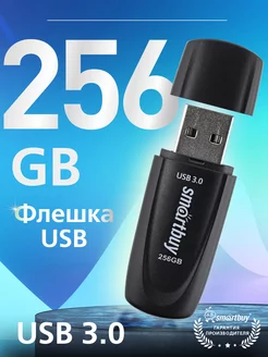 Флешка 256 Гб USB 3.2 Gen.1 Scout Черная