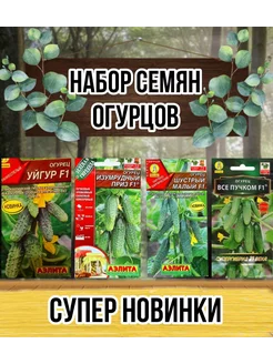 Семена огурцов самоопыляемых для теплицы и грунта