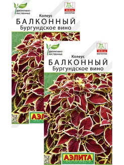 Колеус Бургундское вино (5 семян), 2 пакета