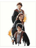 Картина по номерам Harry Potter 40x50 бренд Нарисуй Красоту продавец 