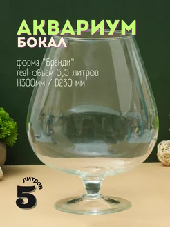 Аквариум бокал 5 литров для рыбок, петушка, круглый