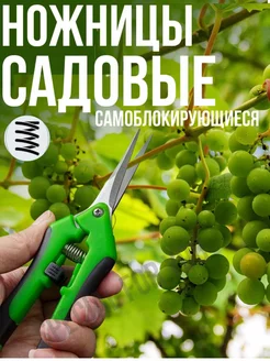 Ножницы садовые секатор для кустов и цветов