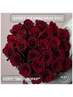 Букет из 25 красных крупных роз