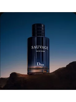 Dior sauvage eau de parfum 100 ml