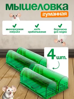 Мышеловка для мышей гуманная