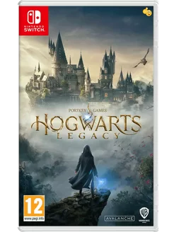 Hogwarts Legacy Switch