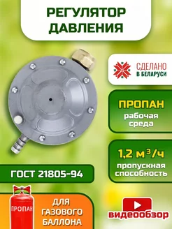 Редуктор регулятор давления газа РДСГ