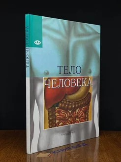 Тело человека