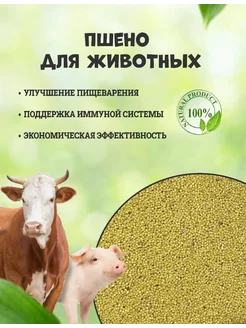 Пшено крупа для кур животных и птиц 5 кг