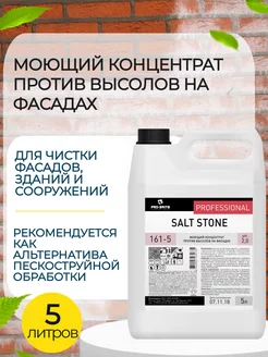 Концентрат моющий против высолов на фасадах 5л