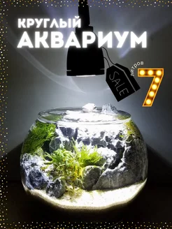 Аквариум круглый для рыбок, петушка, стекло, 7 л