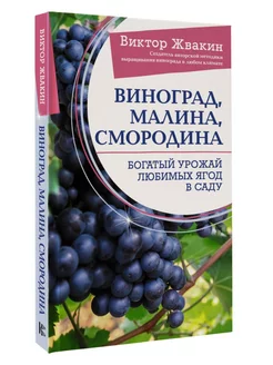 Виноград, малина, смородина. Богатый урожай любимых ягод в с