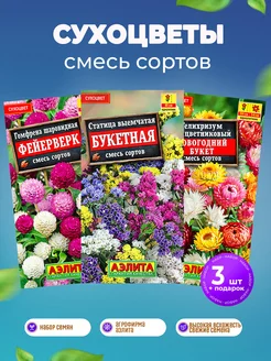 Сухоцветы семена