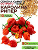 Семена острого перца Каролина Рипер Carolina Reaper бренд Rock star продавец 