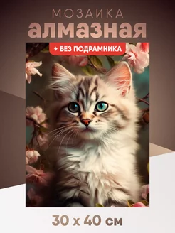 Алмазная мозаика 30×40 без подрамника полосатый котенок