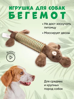 Игрушка для собак Бегемот