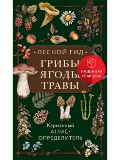 Лесной гид грибы, ягоды, травы. Карманный атлас-определител