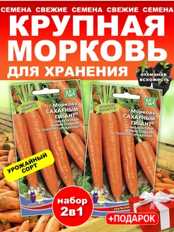 Морковь Сахарный гигант. Крупная