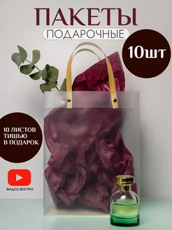 Пакеты подарочные с ручками 21x27x11 с бумагой тишью 10 шт