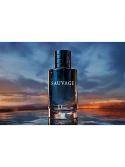 CHRISTIAN DIOR Sauvage Eau De Parfum