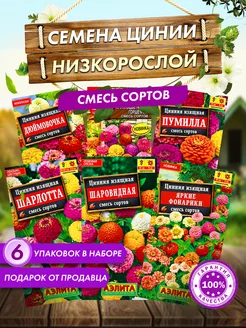 Семена цинний низкорослых, цветы для сада