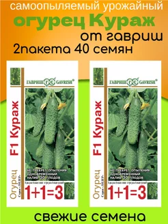 Семена огурцов самоопыляемых Кураж 2 пакета по 20шт