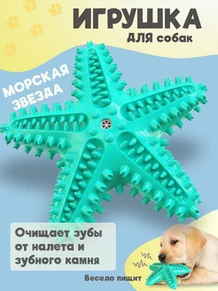 Игрушка для собак Морская звезда