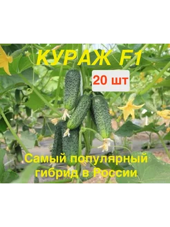 Семена огурцов Кураж F1 20 семян