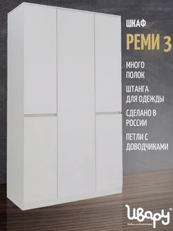 Шкаф распашной Реми 3