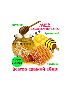 Мед натуральный Башкирский 4400г