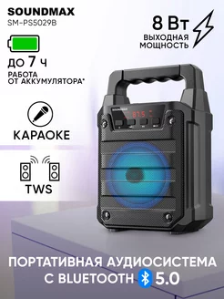 Колонка беспроводная SM-PS5029B, музыкальная