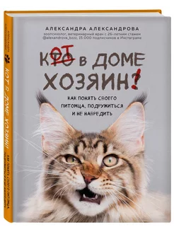 Кот в доме хозяин! Как понять своего питомца, подружиться и