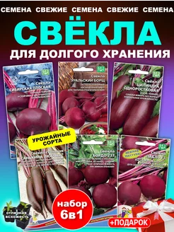 Семена свеклы