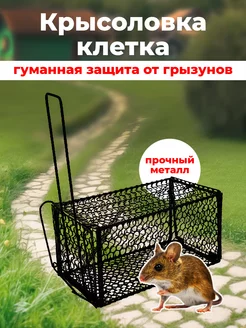 Гуманная крысоловка живоловка клетка