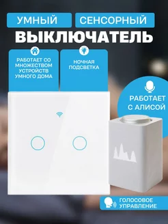 Умный сенсорный WiFi выключатель, двухклавишный