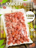 Кумкват 1000 гр бренд Nut.fruit продавец 