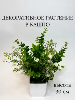 Искусственный самшит в горшке