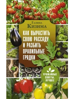 Как вырастить свою рассаду и разбить правильные грядки