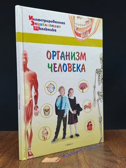 Организм человека